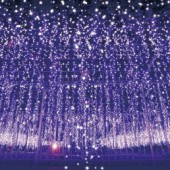 Lung linh "Vườn hoa ánh sáng" ở Tochigi